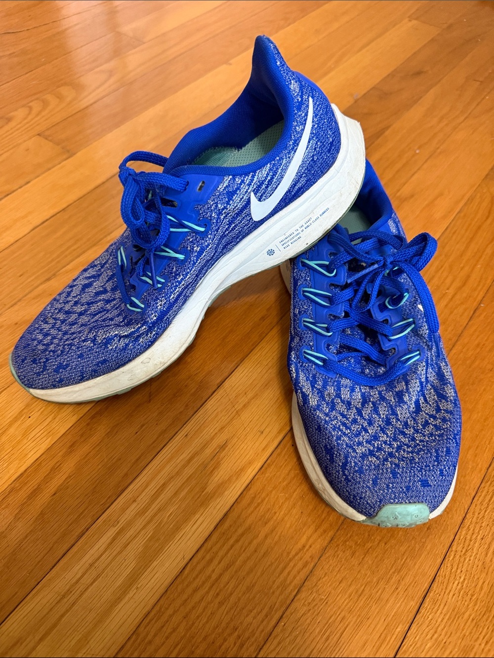 Nike Blue Knit Women's Running Sneakers with White Swoosh